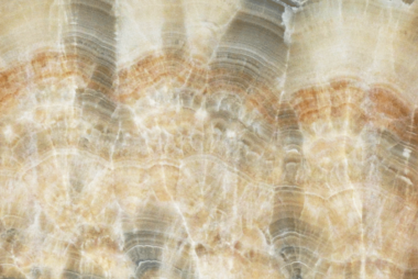 cappuccino-onyx2